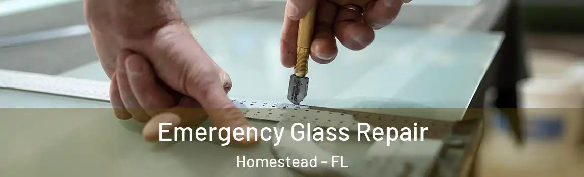  Emergency Glass Repair Homestead - FL