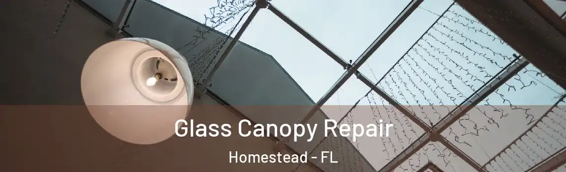  Glass Canopy Repair Homestead - FL