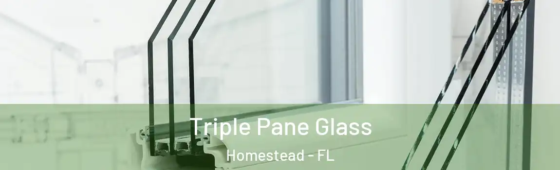  Triple Pane Glass Homestead - FL