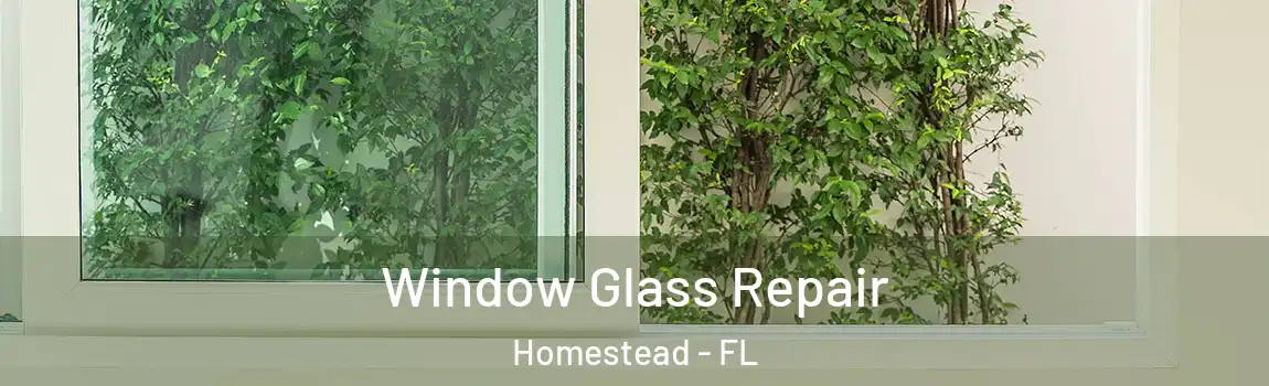 Window Glass Repair Homestead - FL